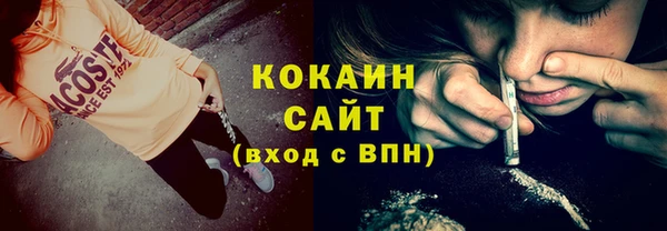 прущие грибы Тобольск