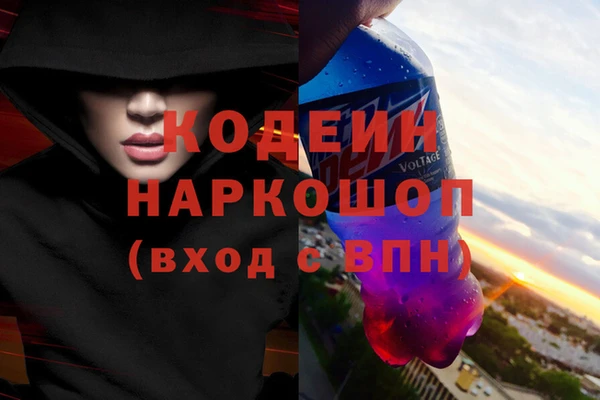 прущие грибы Тобольск