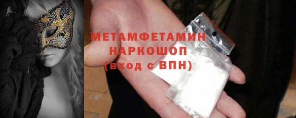 дживик Туринск