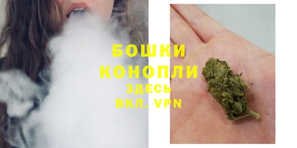 прущие грибы Тобольск