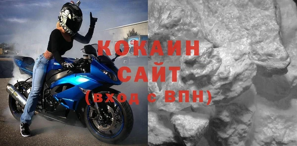 прущие грибы Тобольск