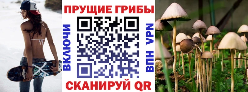 Галлюциногенные грибы Psilocybine cubensis  магазин продажи наркотиков  Харовск 